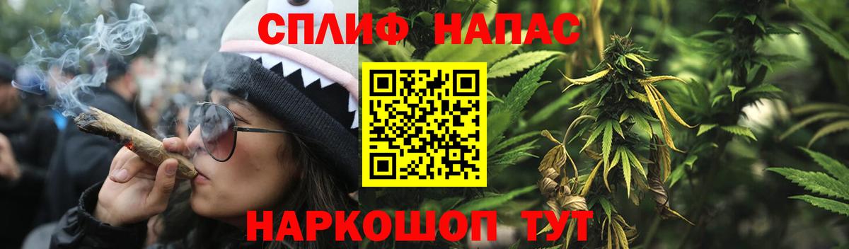 Каннабис сатива  Вход с VPN  Ессентуки  Бошки марихуана гибрид 